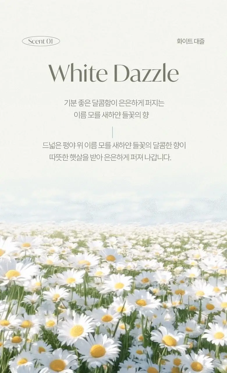 [핸드워시 증정기획] 라운드어라운드 센티드 핸드크림 50ml 상세페이지 11